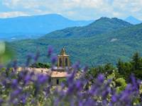 Vue sur le clocher de leglise de Cruis depuis la Bastide du Claus