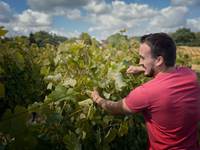 PIERRE & BERTRAND COULY - Au travail !