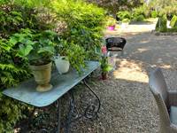 Jardin détail