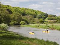 Promenade en kayaks