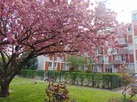 Extérieur arboré de la résidence