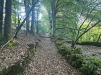 O Moulin du Fieux -  Chemin creux avec murs en pierres sèches