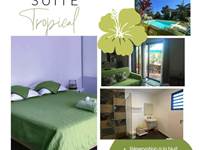 Suite Tropical