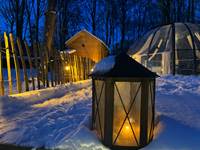 Happy winter
