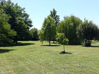Vue du parc