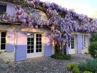 Façade de la maison avec la glycine