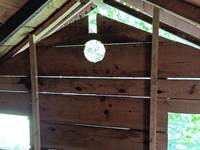 Dans la cabane