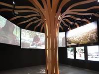 Musee de l'Argan - Taghazout Agadir SoussMassa - Biosphere