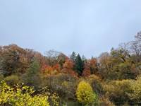O Moulin du Fieux - Vue de la terrasse en automne