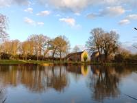 Vue de l'étang de pêche clôturé- moutons et chevaux