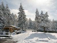 Domaine_de_la_Mamounette