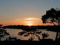 IMG_20240228_233338