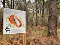 Panneau pédagogique sur la faune et la flore