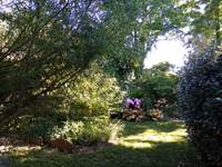 IMG_20210614_175950