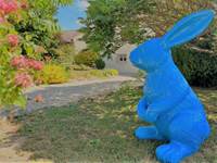 Gîte du Lapin Bleu Facade 2