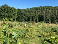Domaine de Leycot - au verger