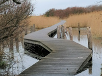 Balade nature