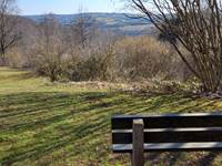 promenade dans le parc