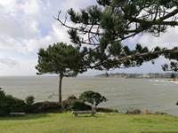 IMG_20240228_233129