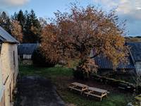 IMG-20251116-WA0015