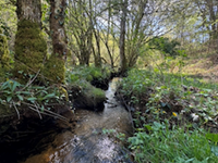 Le ruisseau vous invite à une pause