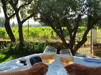 a_lombre_de_la_cheneraie_gite_spa_vignoble_grand_pic_saint_loup-le_puech_apero
