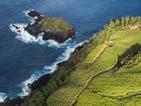Rocher de Petite-Île