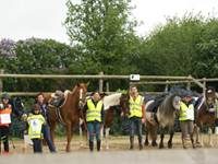 Cours et stages pleine nature
