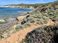 Le sentiers des douaniers Cap Corse