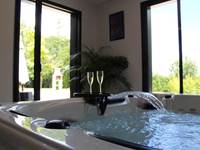 Dégustation dans le spa avec vue sur le jardin