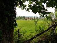 bourgogne avallon corps de ferme vue du chemin gite