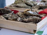 huitres grolleau lis maison garesché