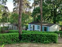 Nos mobilhomes