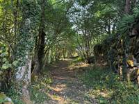 O Moulin du Fieux - Chemin