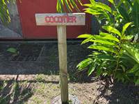 place de parking cocotier