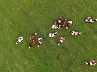 MRO DJI_20240901163313_0224_D