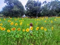 Domaine_de_Calabel©_Pouylebon_vacances_piscine_gers_camping_aire_naturelle