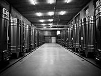 PIERRE & BERTRAND COULY - Nos cuves