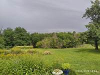 jardin derrière la maison