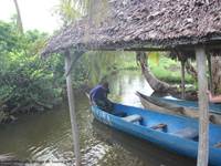 Mangrove Boraha Village Ile Ste Marie Madagascar
