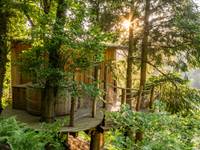 cabane dans les arbres et jacuzzi privatif