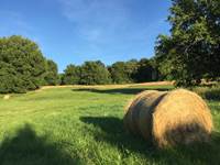 Domaine de Leycot - bois et prairie