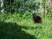 chambre-hotes-riec-sur-belon-finistere-sud-bretagne-cornouailles-bed-and-breakfast-visite-pont-aven-sentier-cotier-randonnée-jardin-centre-bourg