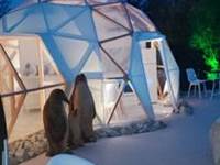 terrasse igloo nuit