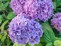 IMG_20250711_084514[1]