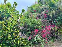 Un jardin paysagé rempli de fleurs et d’arbres fruitiers