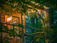 cabane soir