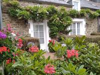 Clos de la Fontaine Dinard, les fleurs dans la cour