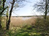 Paysage de Brenne
