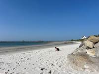 Large sandy beach at the foot of the apartment
